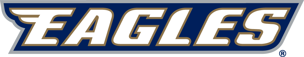 Georgia Southern Eagles 2004-Pres Wordmark Logo v6 diy fabric transfer